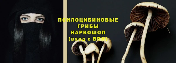 трава Балахна