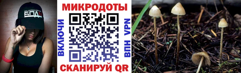 Псилоцибиновые грибы MAGIC MUSHROOMS  как найти закладки  Светлоград 